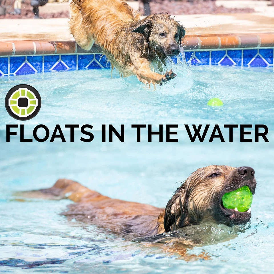 Bola HYPER PET Dura-Squeaks Foto 3 de 4