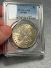 (#103044) Morgan Dollar: 1921 PCGS MS 64    very clean cheek    (see video!) — photo 3