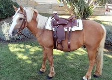 Western Leather Saddle For Pony Or Shetland Complete