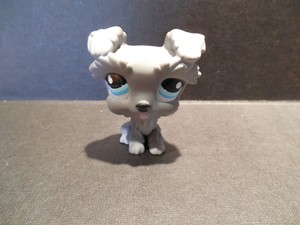 lps schnauzer