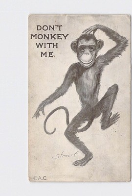 PPC Postcard Monkey Scratches Head 'Don'T Monkey With Me' Stewert