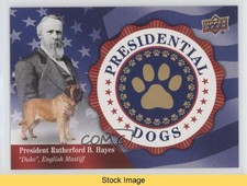 2018 Canine Collection Presidential Dogs Tier 3 Rutherford B Hayes Duke READ 0n8
