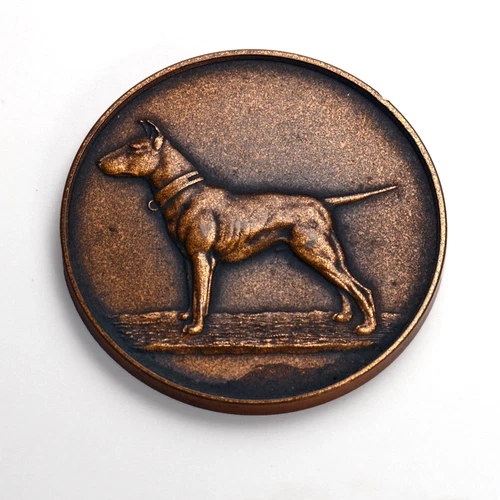 The Bull Terrier Club Vintage Bronze Medal, 45mm Diameter. Dog Breed Club