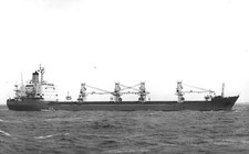 Baron Murray Ship of the Baron Line Shipping Co OLD PHOTO