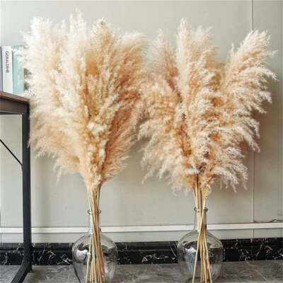 Jumbo künstliche Pampa Gras Schilf flauschig Blumenstrauß Hochzeit zum Selbermachen Wohnkultur