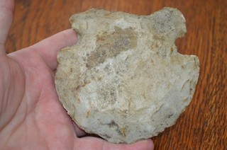 Nice Polished Mississippian Mill Creek Notched Hoe St. Clair Co IL 4.25 x 4