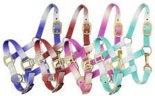 Showman Pony Ombre Nylon Halter