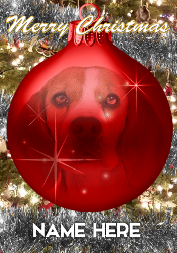 Beagle Dog Bauble Feliz Navidad Tarjeta Personalizada A5 Cualquier Nombre RB133 - Imagen 1 de 1