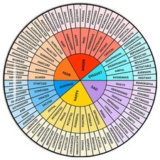 Feelings Wheel Large 12 inch Acrylic Emotion Wheel Chart For Therapy School C...