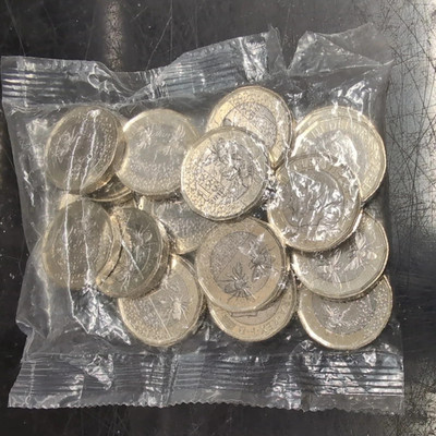 2025 Biene £1 One Pound Münzsiegel Beutel 20 Münzen King Charles