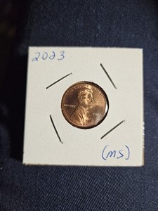 2023 Lincoln Shield Penny