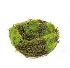 5" Mossy Vine Bird Nest