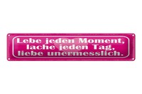 Blechschild Spruch 46X10 Cm Lebe Jeden Moment, Lache Jeden Tag Schild