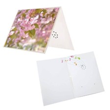 Talking Product, Writeable Greeting Card, 30 Seconds Recording Record Voice