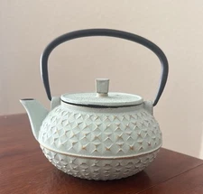 Teal Green Cast Iron Teapot w/ Strainer & strainer Black Handle