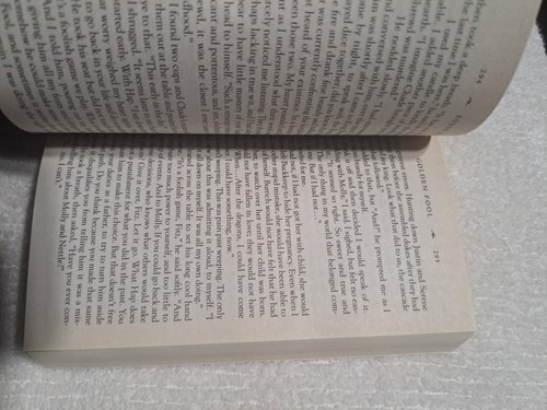 Golden Fool By Robin Hobb (Paperback)-Used Very Good Condition - Picture 6 of 7