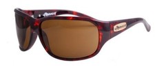 Anarchy Prosecution Sunglasses Tortoise Frame / Brown Lens new 