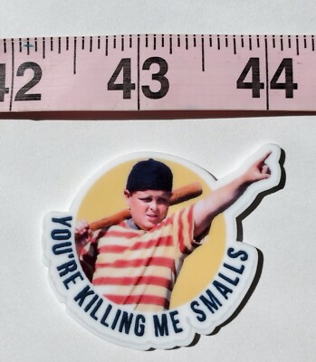 YOU'RE KILLING ME SMALLS, THE SANDLOT, Badge Reel, Teacher, Nurse, Funny, Gift
