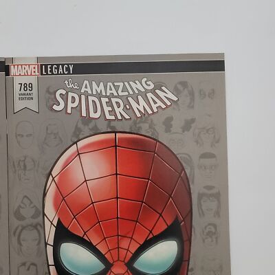 Amazing Spiderman/Despicable Deadpool Mike McKone Headshot Variant
