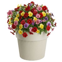 Howhomely Blumentopf Pflanzgefäß H17Xb20Cm Pflanztopf ÜBertopf Beige Geriffelt