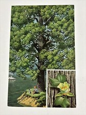 Vintage Walter A Weber  boy  fishing on Mississippi River Boat  Oak Trees print