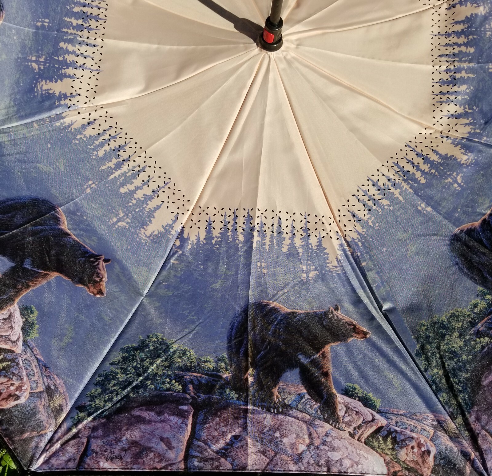 C Handle Reverse Folding Double Layer Inverted Umbrella with Bear Scene - NEW image 5