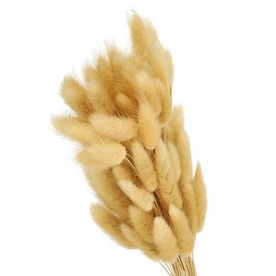 15.7in Queue De Lapin Fleurs Séchées 150pcs Décor Pampas, Beige - Photo 1/4