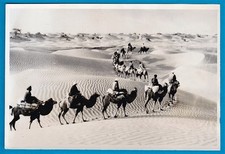vintage photo scientists on camel Taklamakan Takelamegan desert China foto 1960