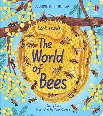 Look Inside the World of Bees - Board book By Emily Bone - GOOD