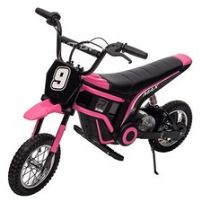 24v Electric Dirt Bike for Kids 13 Years Old,350w High-Power Motor,2-Speed Gift