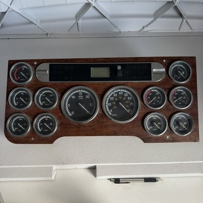 2013 FREIGHTLINER CASCADIA SPEEDOMETER INSTRUMENT CLUSTER Q5926