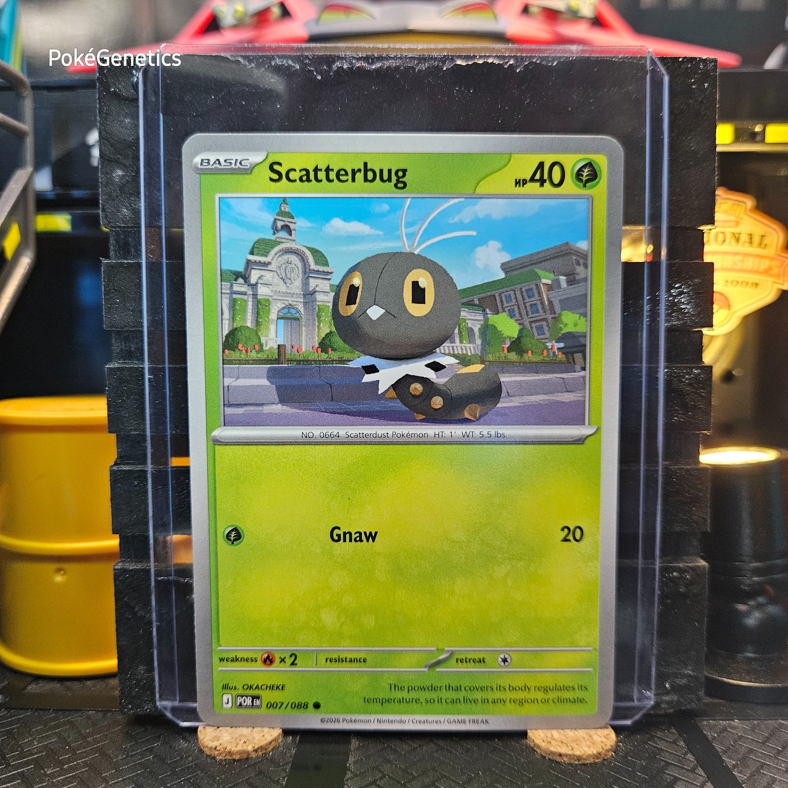 Scatterbug Perfect Order Pokémon TCG 007/088 Mega Evolution ME03 Common