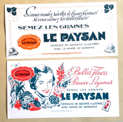 LE PAYSAN Graines de Pois chiche elixir - Jardin