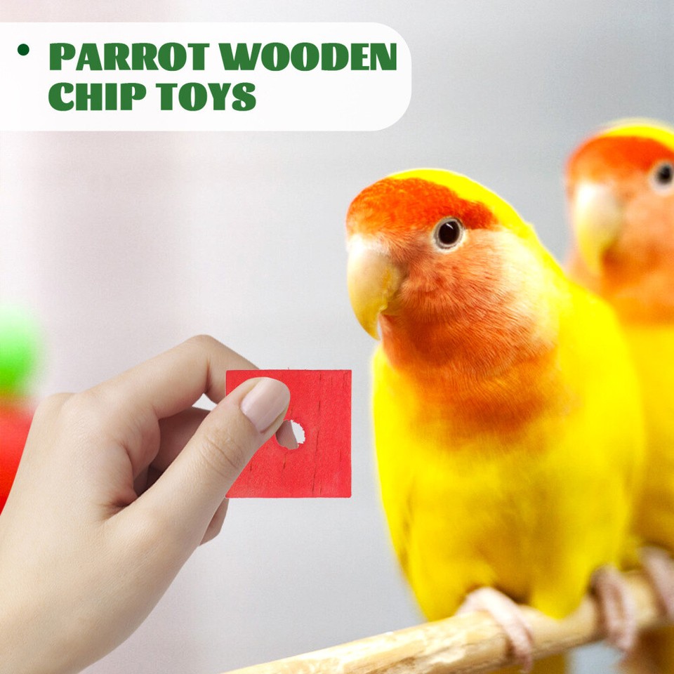 100 Pcs Parrot Chewing Toys Shredding Toys for Birds Bite Toy DIY Wood