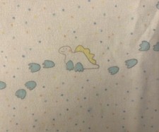 Infant Baby Dinosaur Blanket 27  x31  