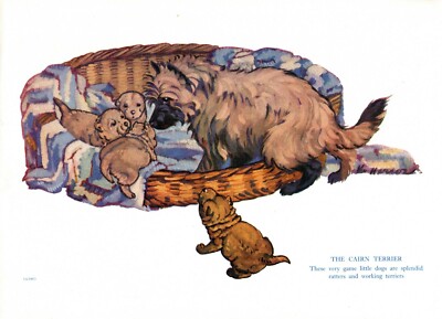c1950 Vintage Cairn Terrier Print Mother and Child Ken Harrow Illustration 4450e