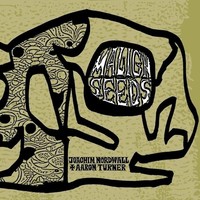 Joachim Nordwall A - Malign Seeds - Cd - G3Z