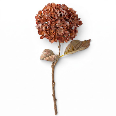 Autumn Orange Hydrangea Branch