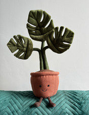 neon pothos plant Neon Pothos