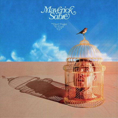 Maverick Sabre Don't Forget to Look Up (Vinyl) 12" Album (UK IMPORT)