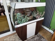 Designer Aquarium Fish Tank Large