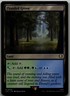 Flooded Grove R Commander: The Lord of the Rings: Tales of Middle-earth 309 LP