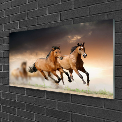 Glasbild Bild Druck 100x50 Tiere Pferde