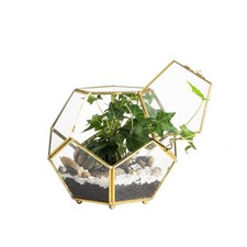 NCYP 6.89 x 6.89 x 5.9 inches Glass Geometric Terrarium Planter with Door and...