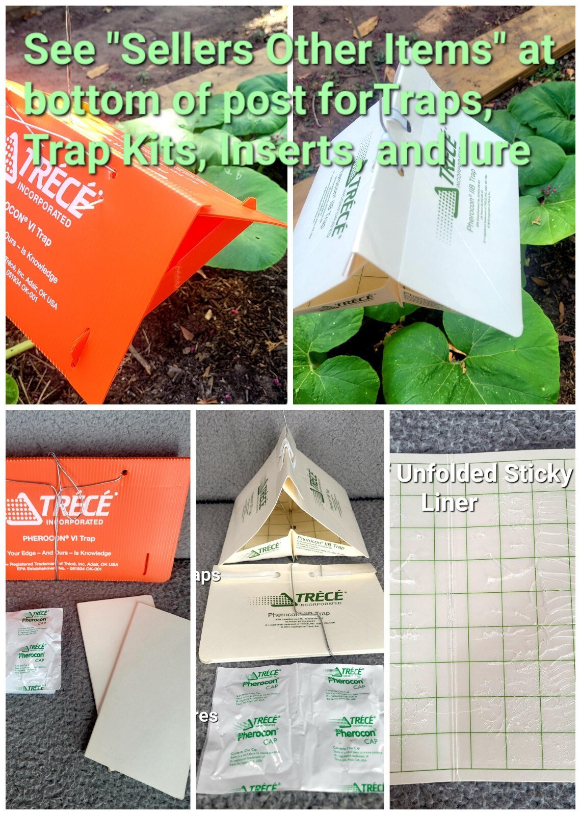 3 Squash Vine Borer lure 3 PACK Atlantic Giant Pumpkin, squash LURE