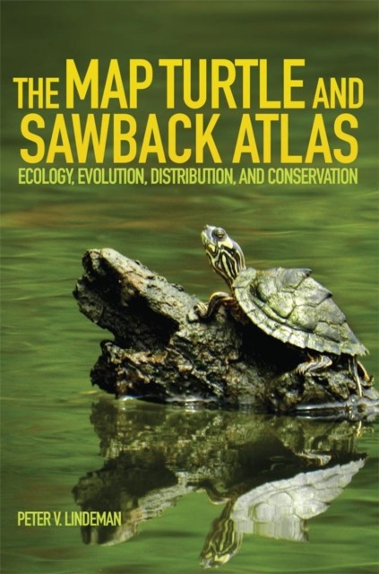 The Map Turtle and Sawback Atlas Ecology  by Peter V. Lindeman PAPERBACK