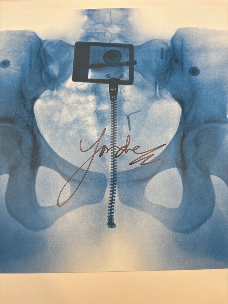 Lorde Virgin レコード　サインアートカード入り　新品 VIRGIN GATEFOLD LP + SIGNED CARD - Lorde