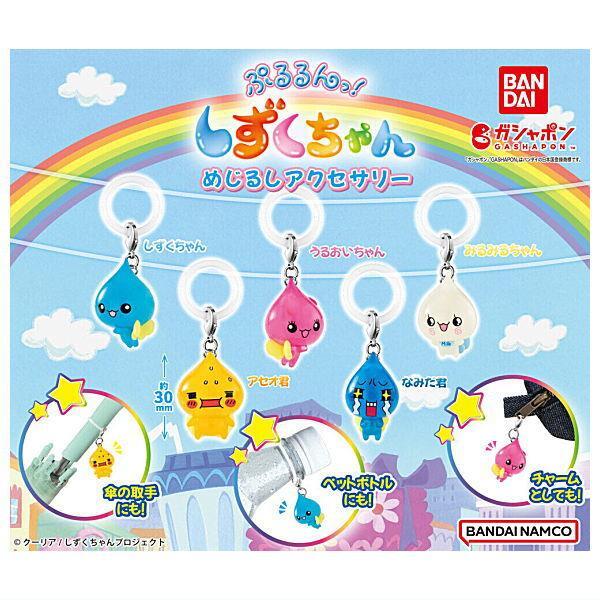Pururun! Shizuku-chan mejirushi accessory [5types (complete