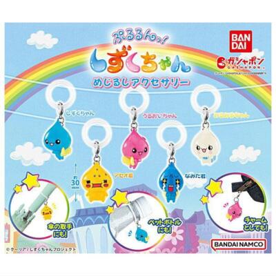 Pururun! Shizuku-chan mejirushi accessory [5types (complete