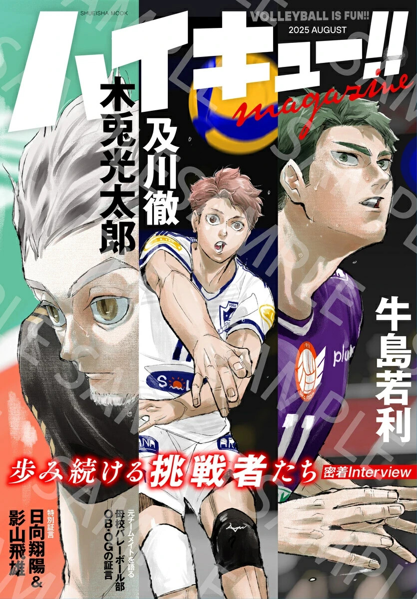 ヤーマン　A.H.P.L. KAMADO OIKAWA 2025 HAIKYU!! MAGAZINE 2025 AUGUST Japanese Mook Book With Poster Anime
